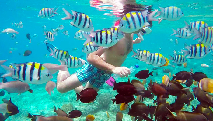 Gili Trawangan Snorkeling
