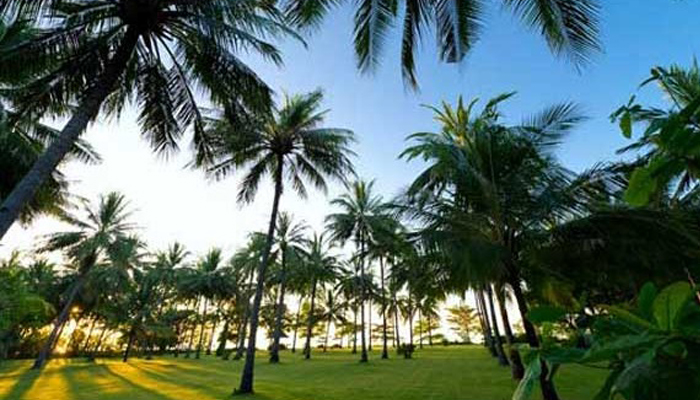 Pantai Sire di Lombok 