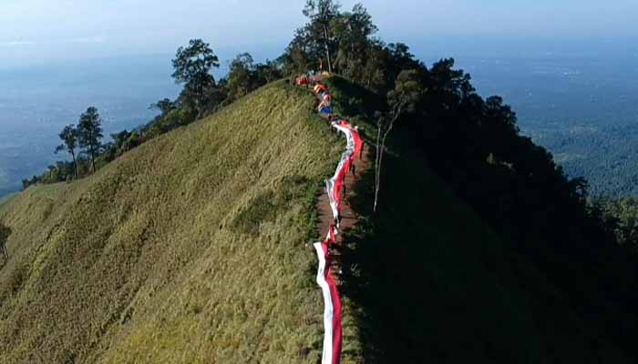 pemandangan di bukit pal jepang