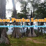 Pohon Purba Lombok