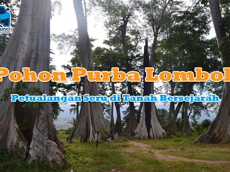 Pohon Purba Lombok