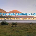 Bukit Savana Dandaun Lombok