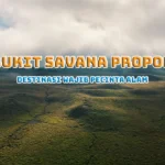 Bukit Savana Propok Lombok