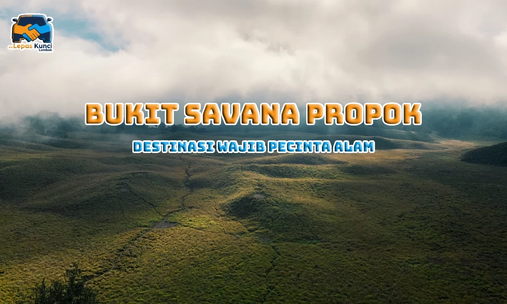 Bukit Savana Propok Lombok