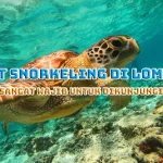 Spot Snorkeling di Lombok